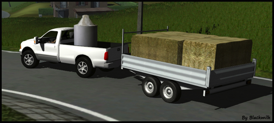 Ford 350 & Trailer